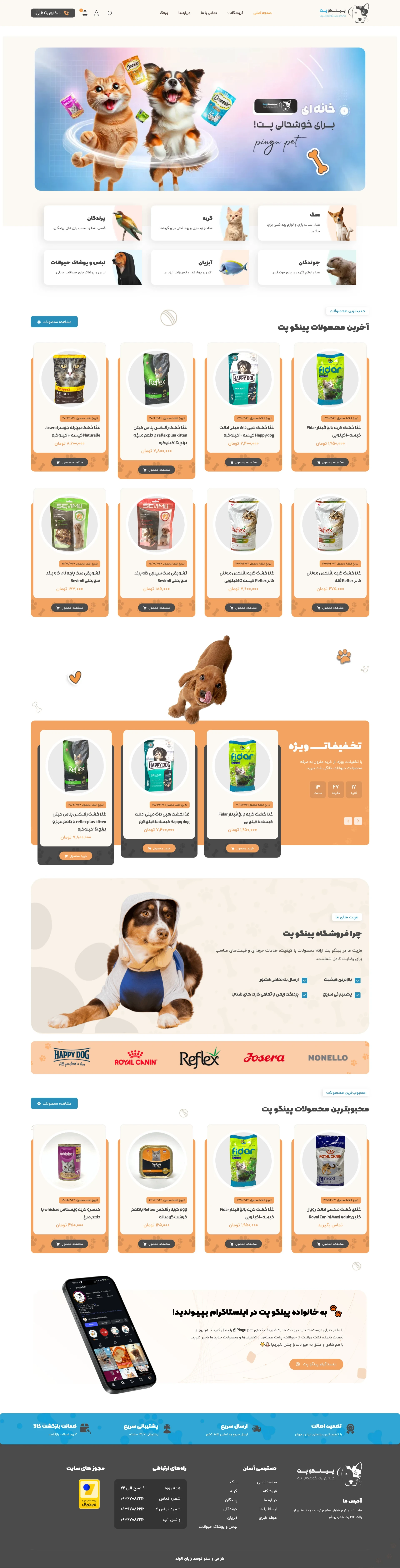 طراحی وب‌سایت پینگوپت